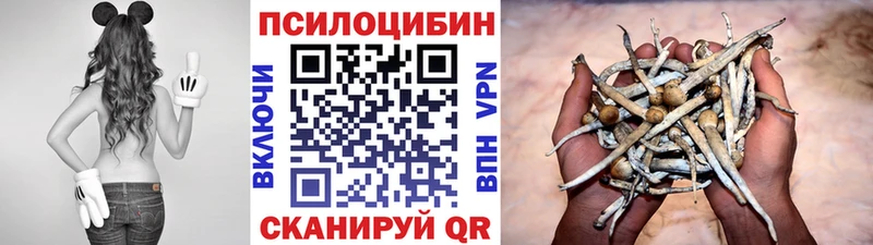 Купить  Клин  Галлюциногенные грибы мицелий 